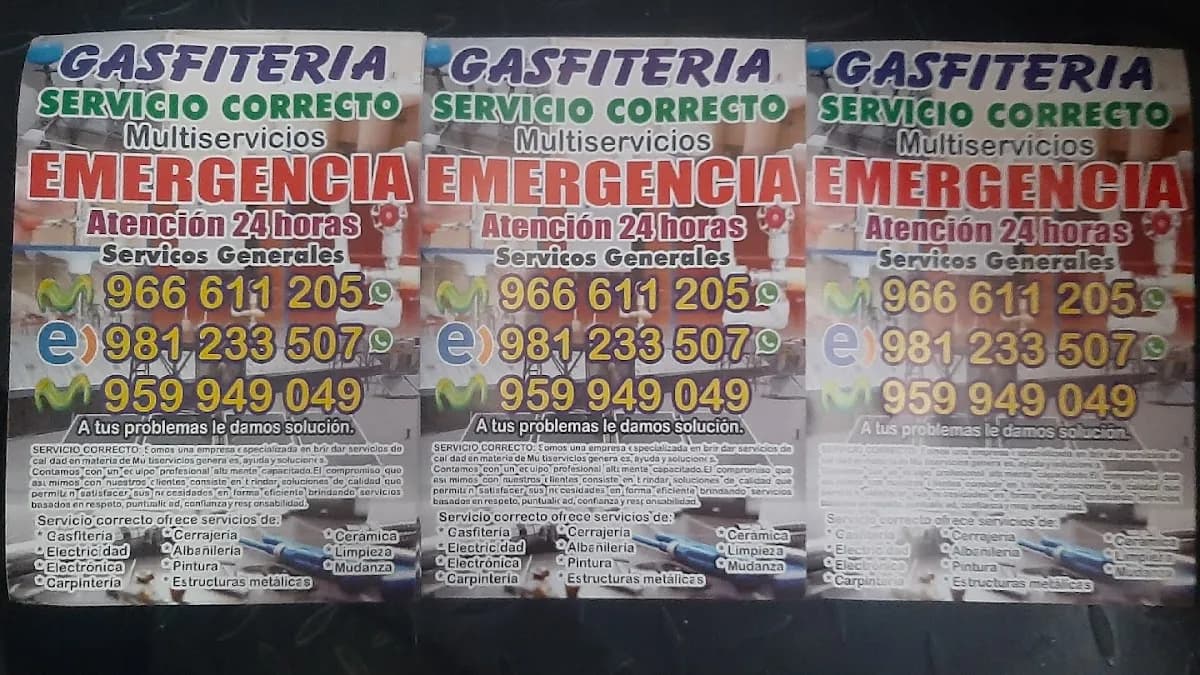 GASFITERIA SERVICIO CORRECTO MULTISERVICIOS